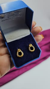 1Gram daily wear Earring RCE2253