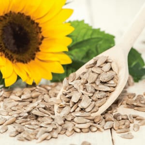 Sunflower Seeds