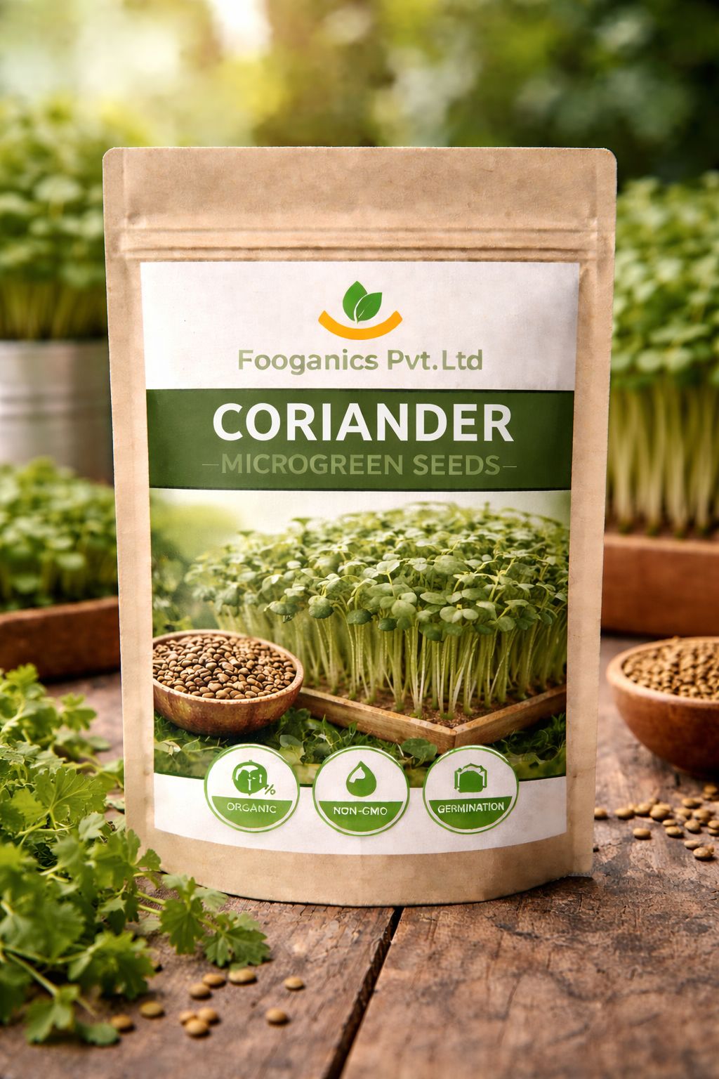 CORIANDER SEEDS